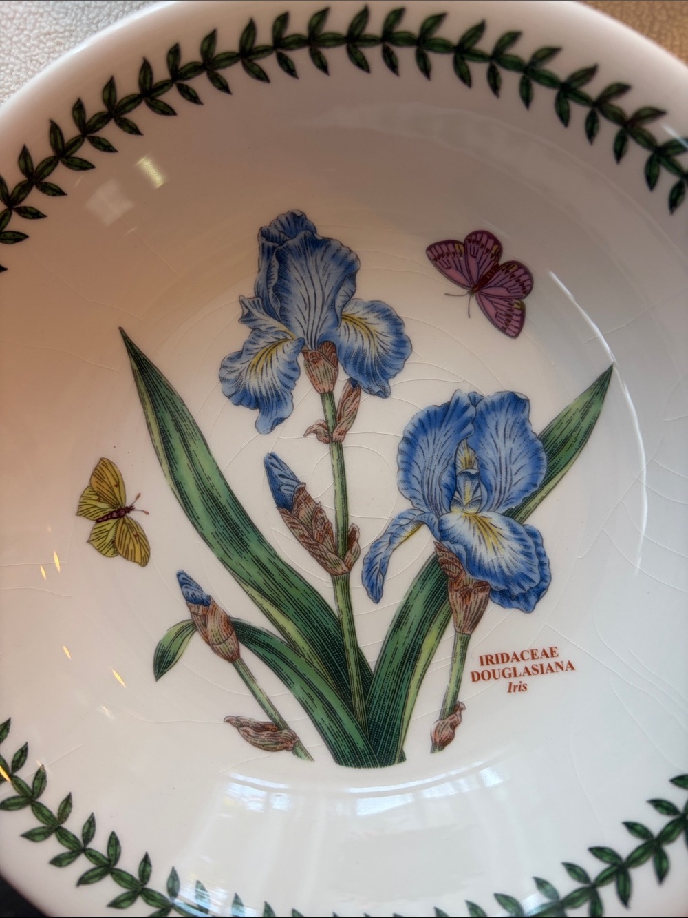 Portmeirion Bontanic Garden Bowls 8”